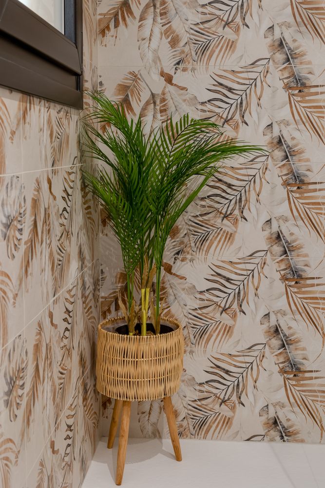 Amanecer Duly ,c. Rita-11.jpg