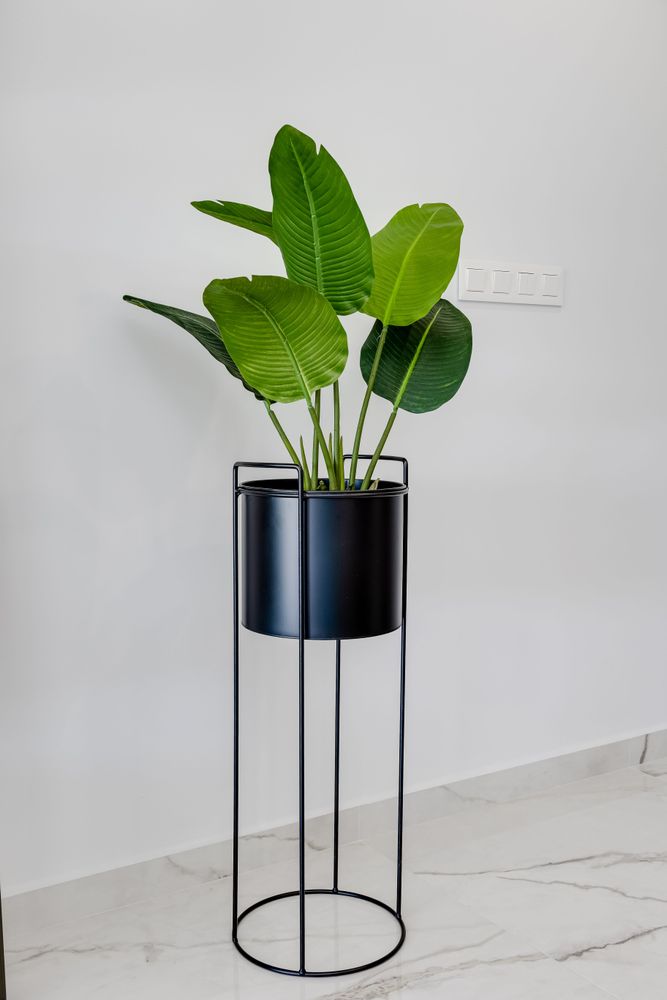 Amanecer Duly ,c. Rita-15.jpg